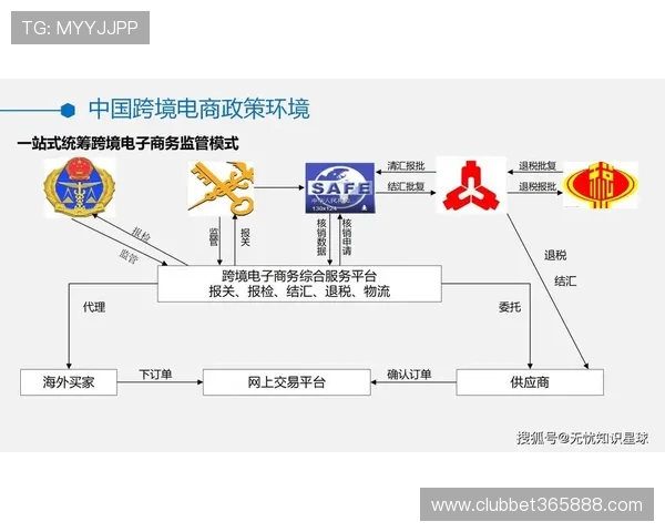 速发国际365，推动跨境电商行业的物流革命与服务升级