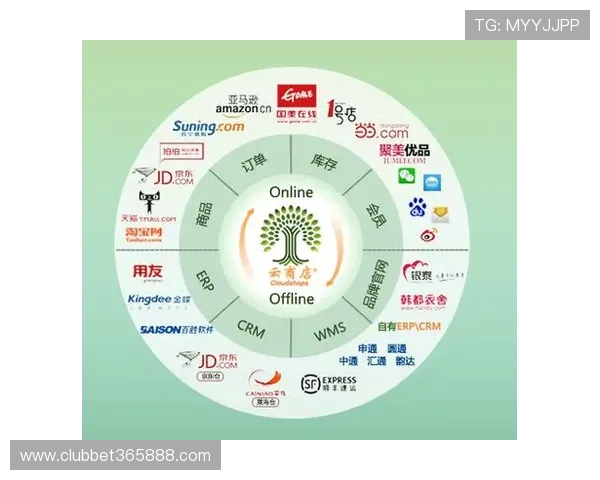 365电子平台：打造高效便捷的数字支付解决方案
